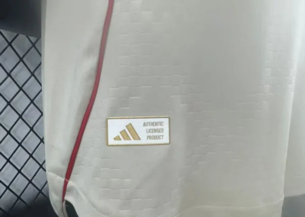 25 - 26 - Benfica - Profesyonel Deplasman Forması