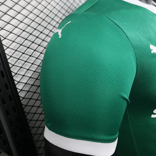 25 - 26 - Palmeiras - Profesyonel İç Saha Forması