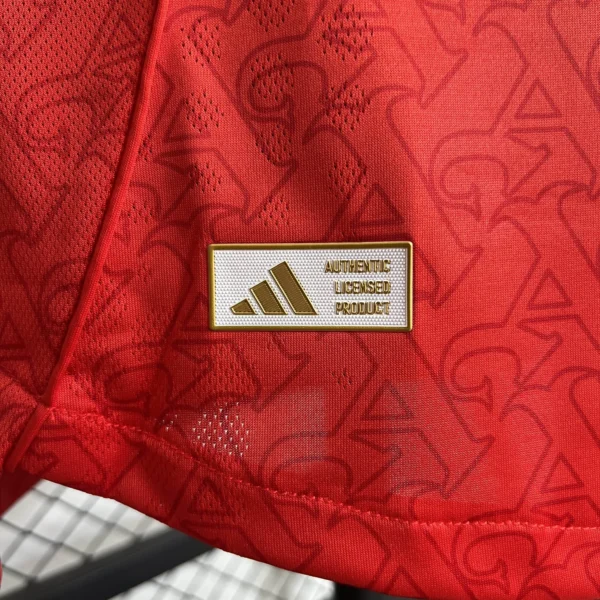 25 - 26 - Arsenal - Profesyonel İç Saha Forması